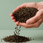 Stärkt die Gesundheit und wärmt an kalten Wintertagen